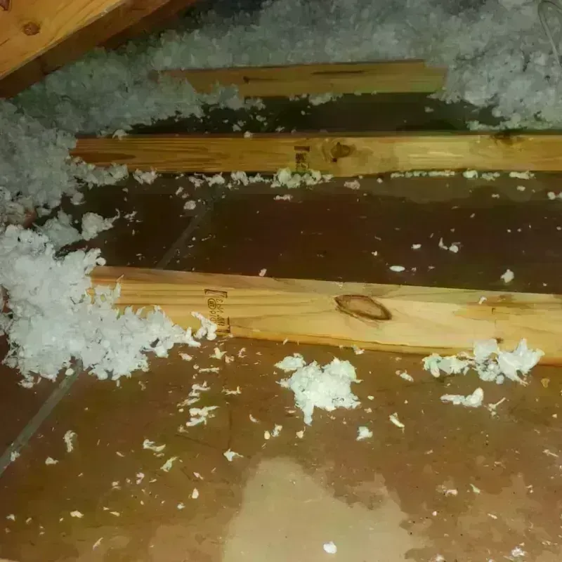 Attic Water Damage in New Market, AL